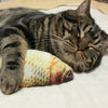 CAT TOY - STUFFED FISH - airstuff