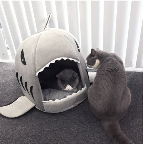 Shark Cat House - airstuff